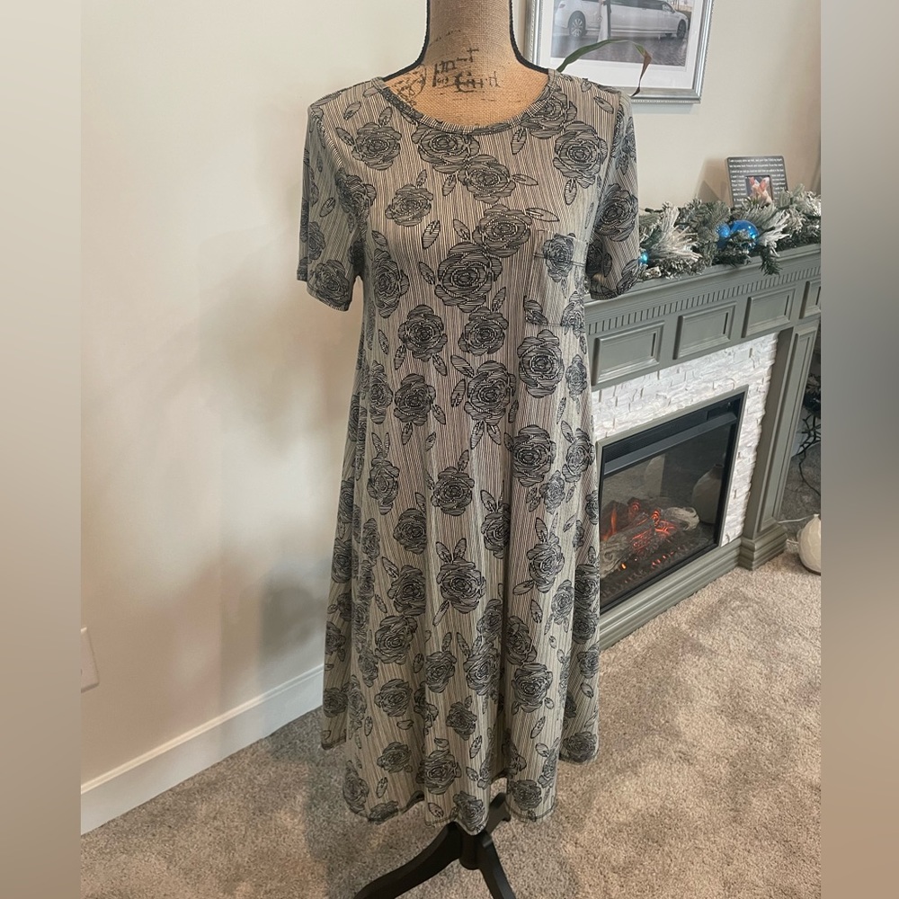 LuLaRoe Carly Dress